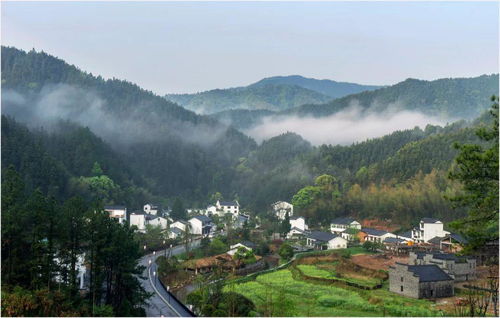 预告 5.19上午九点半,珠山区文广新旅局联合瓷都晚报 星直播 约你 云 游三宝