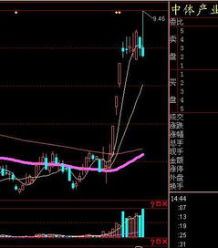 中体产业后市会怎样？今天怎么走得这样妖啊？