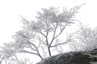 吴细雨，江南烟雨中的诗意情怀，啥啥细雨