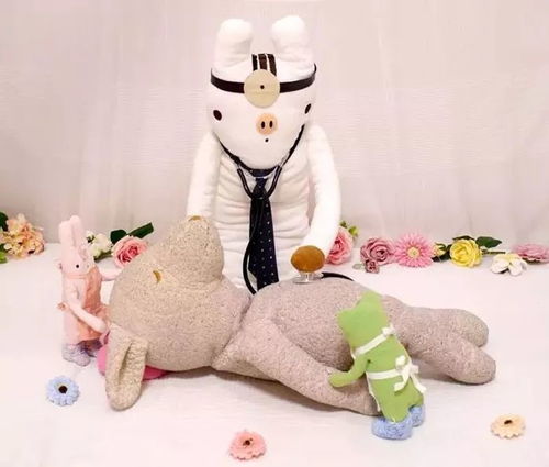 毛绒玩具医院丨布娃娃の乐园