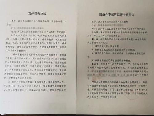 附条件不起诉决定可否提出申诉