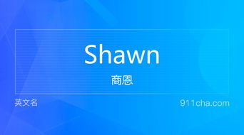 英文名Shawn 的意思 性别含义寓意及印象是什么 英文名 911查询 