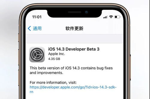 又来 iOS14.3测试版发布 建议iPhone12系列更新