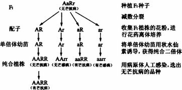 视频投稿查重机制详解：从原理到实践的全面指南