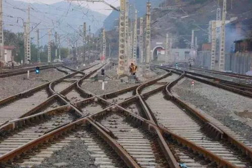 中国中铁走出去助力雅万高铁建设持续稳步推进