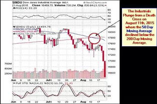 2010年8月以后上市的股票有哪些?
