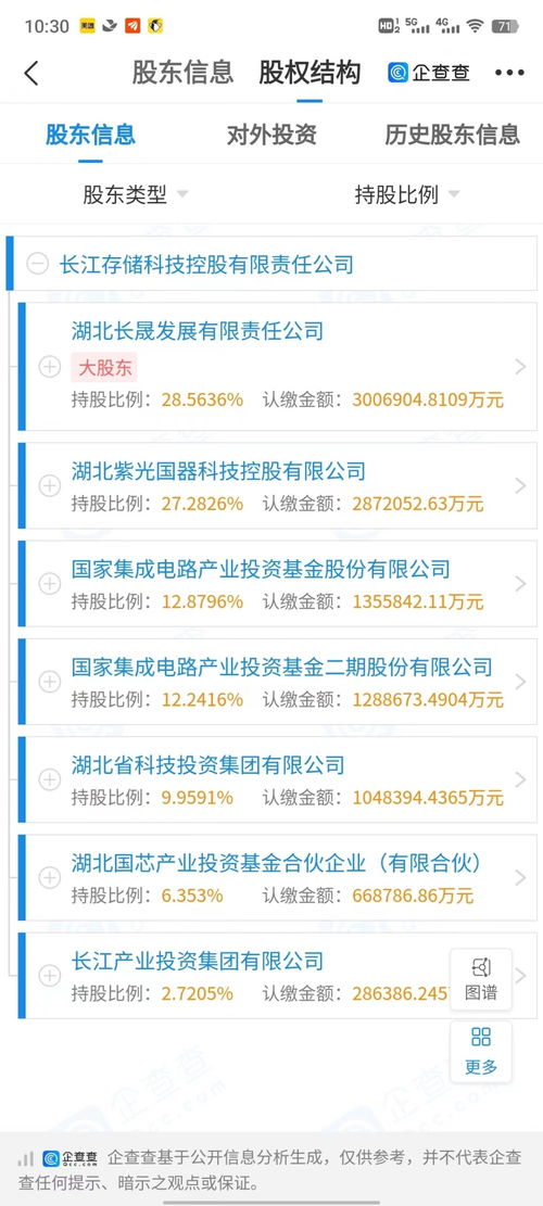 长江存储股东持股比例