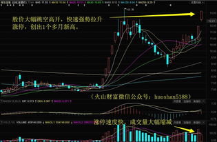 股票涨停是因为股票涨得太快了要压一压吗