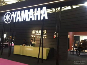 平时常听的电钢品牌就是YAMAHA,去琴行看过了，不怎么满意呢，反而更中意英昌的电钢，更喜欢它的音色