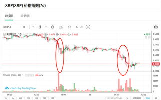 瑞波币怎么跌这么多—瑞波币还能涨回20块吗