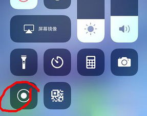 为什么我的苹果手机不能录屏 