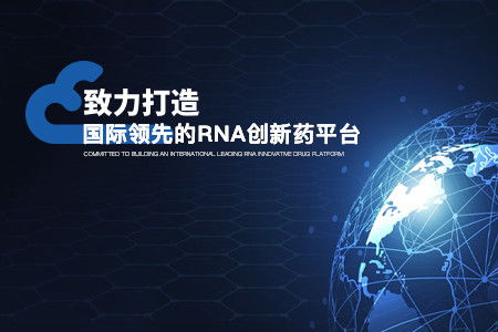 海归精英回国创业,新合生物深耕RNA创新药研发