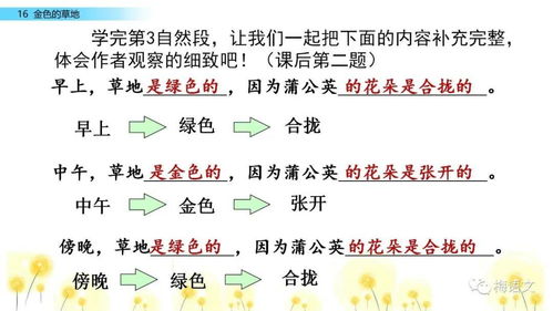 凌乱解释点词语—凌乱的理解方法是什么？