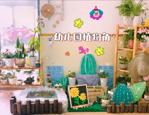 幼儿园春季植物角环创