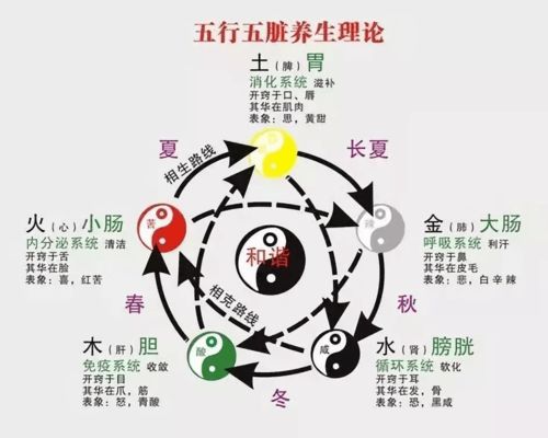 秋收冬藏,是补肾好时机 5大实用补肾方法