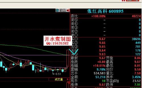 张江高科明天走势怎么样望指点 