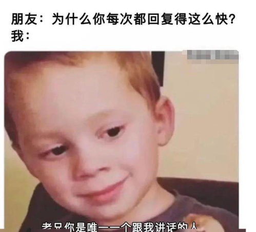 用四个字形容一下你的长相,评论区是人类吗 哈哈哈哈