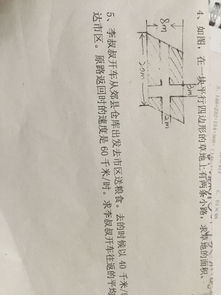 观察日记300字(观察日记作文300字7篇)