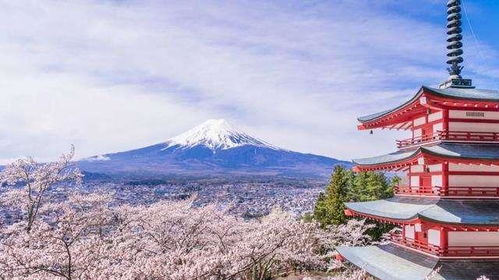 日本奇葩冷知识富士山(日本富士山景点讲解)