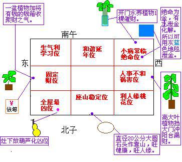 鱼缸的摆放位置 