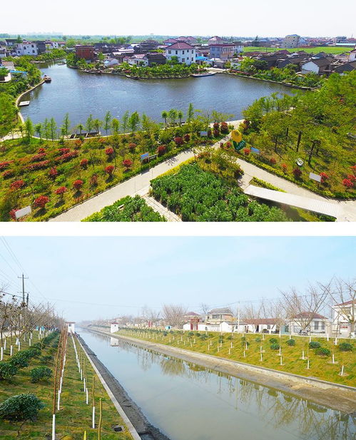 河道生态护坡,河道护坡介绍？(图1)