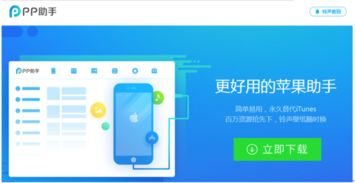 iphone8怎么设置铃声 