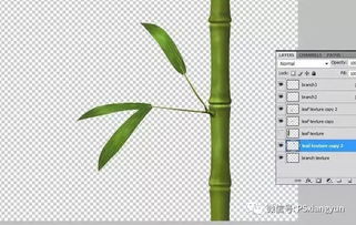 PS 教程 制作绿色竹子