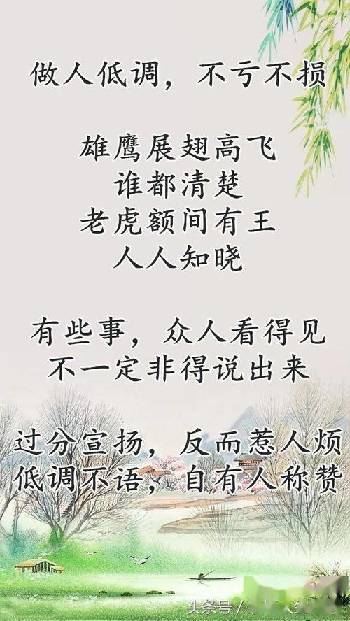 低调是什么