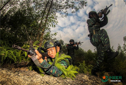 冬季大练兵来袭 这么刺激竟是训练常态