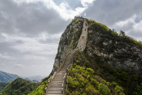 中意人寿招聘靠谱吗(中意保险智联招聘)