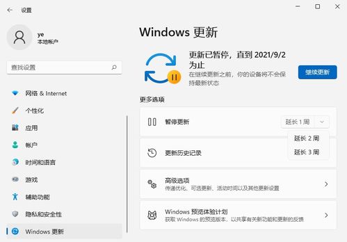 关闭win11自动更新有什么影响