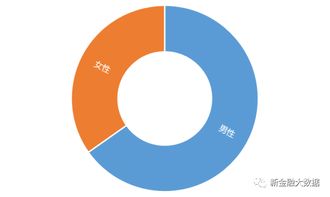 比特币投资风险分析-比特币风险集中在哪些方面