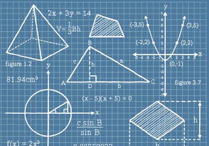 2019数学冷知识(数学冷知识手抄报)