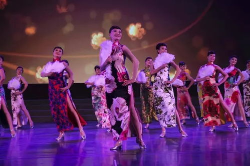 爱上大舞台 2017全民广场舞蹈大赛 