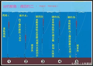 钓鱼调漂到底调几钓几 很多人钓了二十年鱼都弄没明白 