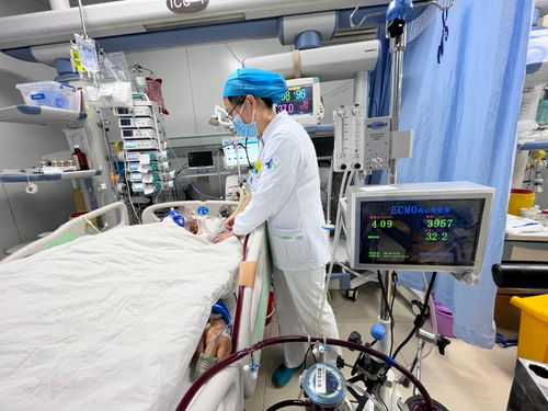 ecmo(ecmo是哪个国家研发的)