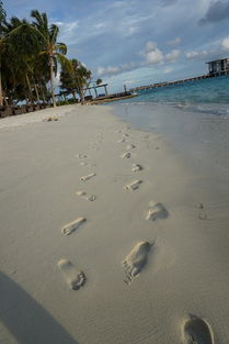 马尔代夫白沙滩旅游马尔代夫的白沙滩是怎么形成的（有沙滩的地方就是马尔代夫）