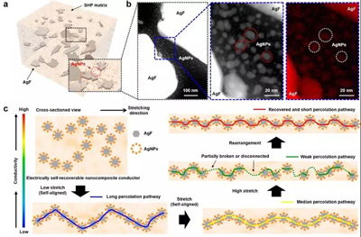 鲍哲南教授 ACS Nano 一种具有超强拉伸性 高导电率的自修复纳米复合导体