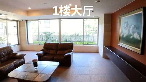 日本有钱人都住哪 东京富人区163平米超大公寓究竟长啥样