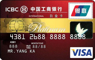VISA卡 信用卡品牌