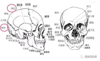 杨幂学王祖贤留清纯黑长直,却翻车像刘欢2.0