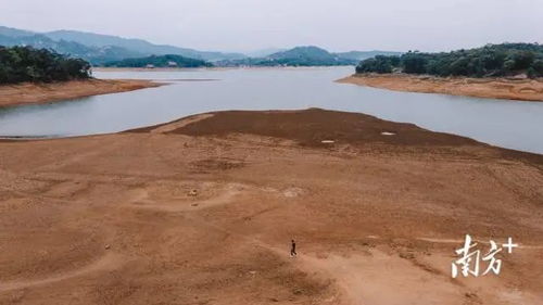 部分水库面临干涸 潮阳多地错峰用水