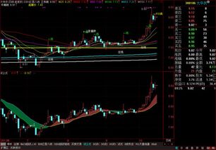 通达信指标公式编辑，主图，副图