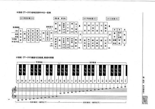 电子琴键盘音阶对照图 搜狗图片搜索