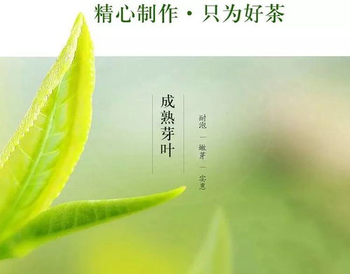 10大中国茶叶品牌排行榜(连锁茶叶品牌排行榜及价格)