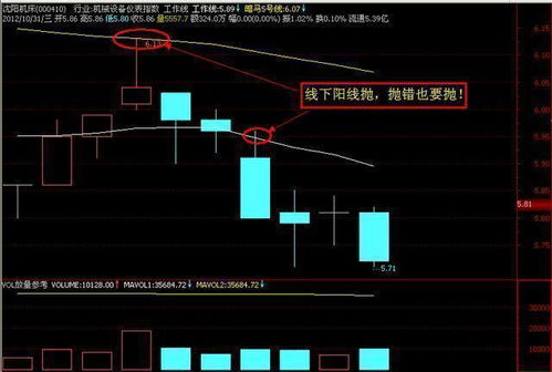 初次玩股票 应该怎么操作? 怎么我看不懂啊~~~