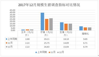 一份市场状况分析要写什么内容？