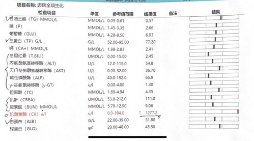 猫咪肌酸激酶高出正常3倍,心超显示一切正常,可能是什么原因 