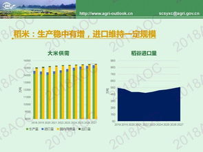 权威发布 中国农业展望报告 ,带你看懂未来10年农业发展趋势 