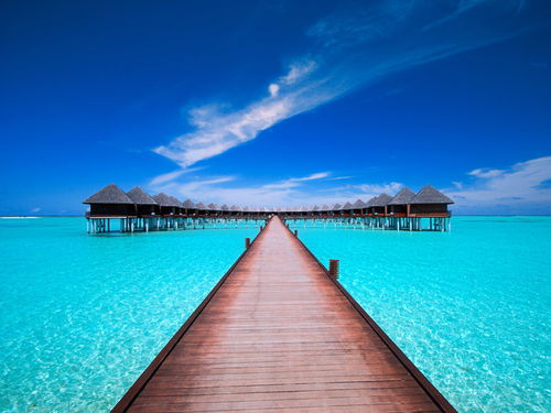 马尔代夫奈法茹岛浪漫的热带岛屿之旅（马尔代夫 岛）
